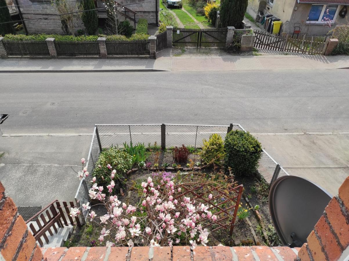 Apartament Pod Jalowcem Gory Sowie 533-543-732 Jedlina-Zdroj Extérieur photo